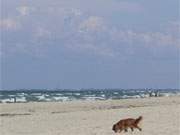 Ziehen sie auf die Insel Usedom? Wolken ber der polnischen Bernsteinkste.