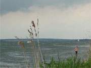 Einsamer Badegast: Achterwasser und Peenestrom an der Halbinsel Gnitz im Hinterland von Zinnowitz.