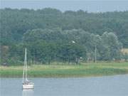 Segelboot auf dem Achterwasser: Zwischen den Usedomer Bernsteinbdern ckeritz und Loddin.