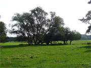 Naturpark Insel Usedom: Sanftes Weideland nahe des Krienker Sees im Hinterland der Ostseeinsel.