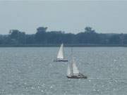 Wassersport um die Insel Usedom: Segelboote auf dem Achterwasser, gesehen vom Konker Berg.