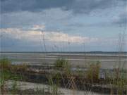 Weit drauen in der Ostsee: Die Insel Greifswalder Oie vor Usedom.