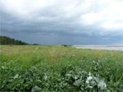 Von der Ostsee zum Greifswalder Bodden: Der Peenemnder Haken der Insel Usedom.