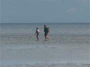 Nordspitze der Insel Usedom: Der breite Sandstrand weicht einer Art Wattenmeer.