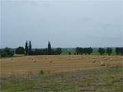 Abgeerntet: Strohballen auf einem Feld in der Nhe von Grke.