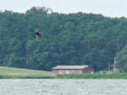 Ein bisschen wie Fliegen: Kiter über dem Achterwasser am Loddiner Höft.
