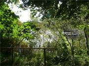 Bernsteinbad Loddin auf Usedom: Blick auf den Kpinsee.