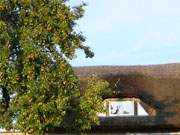 Am Obstgarten: Bauernhaus mit Blick auf das Achterwasser im Usedomer Seebad Loddin.