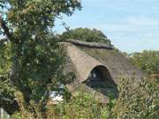 Romantisches Hinterland der Insel Usedom: Schilfgedecktes Wohnhaus in Quilitz.