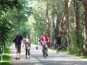 Richtig Verkehr: Die neue Strandpromenade zwischen Ahlbeck und Swinemnde ist sehr beliebt.