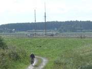Hinter dem Deich zum Peenestrom: Ein Radfahrer auf dem Weg zum Hafen des Ostseebades Karlshagen auf Usedom.