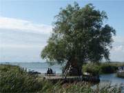 Bank am Achterwasser: Der Achterwasserhafen des Usedomer Seebades Zempin ist ein idyllischer Ort.