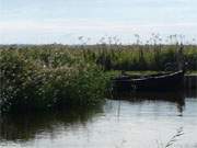 Fischerboot im Schilf: Der romantische Achterwasserhafen des Bernsteinbades Zempin.