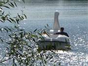 Hinaus auf den romantischen Klpinsee: Die wunderbare Landschaft um das Seebad Loddin.