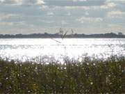 Herbstsonne auf der Insel Usedom: Das Achterwasser nahe des Seebades Zempin.