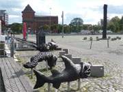 Am Darer Bodden: Die kleine Stadt Barth hat einen sehr schn gelegenen Hafen.