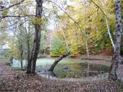 Im Kurpark des Kaiserbades Heringsdorf: Krftige Herbstfarben auf der Insel Usedom.