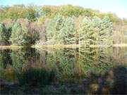 Das klare Wasser des Mmmelkensees bei Bansin spiegelt den umgebenden Wald.