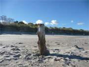 Herbstferien am Ostseestrand von Usedom: Sandstrand am Ostseebad Koserow.