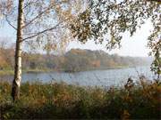 Ein Fest der Farben: Das nordöstliche Ufer des Kölpinsees im Herbst.