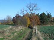 Herbst im Usedomer Hinterland: Schmollensee und Mhlenberg bei Benz.