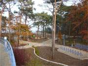 Der Dnenlandschaft an der Ostsee angepasst: Neue Strandpromenade im Seebad Zempin.