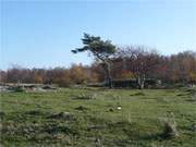 Gebudereste: Ehemalige Luftwaffen-Erprobungsstelle Peenemnde-West auf Usedom.