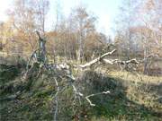 Am ehemaligen NVA-Erdschieplatz: Der Peenemnder Haken der Insel Usedom.