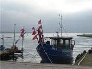 Fischerhafen von Kamminke: Das romantische Hinterland der Insel Usedom im Sptherbst.