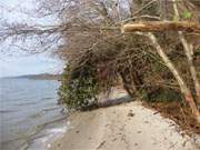 Sandstrand am Stettiner Haff: Zwischen Kamminke und Garz im Haffland der Insel Usedom.