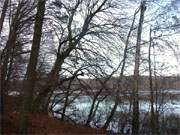 Der Wolgastsee: Novemberimpressionen vom Hinterland der Insel Usedom.