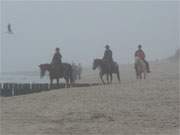 Ausritt am Ostseestrand von Koserow: Reiterferien im Sptherbst.