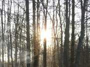 Letzte Sonnenstrahlen: Ein typischer Novembertag geht ber der Insel Usedom zuende.