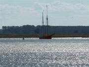 Peenemnder Haken der Insel Usedom: Segelboot auf dem Peenestrom.