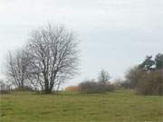 An Peenestrom und Achterwasser: Mwenort auf der Halbinsel Gnitz.