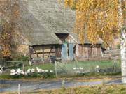 Am Dorfanger: Lndliches Idyll im Hinterland der Ostseeinsel Usedom.