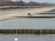 Bild mit Schwan: Der weite Sandstrand in der Mitte der Insel Usedom.