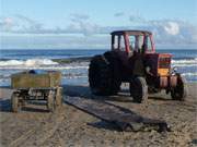 Usedom im Dezember: Auf dem Strand des Ostseebades Heringsdorf.