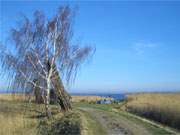 Winziger Fischerhafen: Das Hinterland der Insel Usedom am Achterwasser.