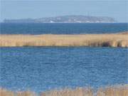 Usedomer Nachbarinsel: Die Greifswalder Oie in der Ostsee.