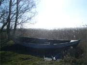 Bernsteinbad Zempin auf Usedom: Ein altes Fischerboot liegt am Schilf des Achterwassers.