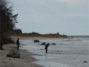 Der Ostseestrand ist schmal geworde: Sturm auf der Insel Usedom.