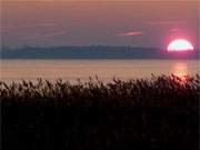 Naturpark Insel Usedom: Der Peenestrom an der Halbinsel Lieper Winkel.