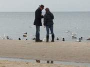 Mwen und Enten: Der Ostseestrand des Bernsteinbades ckeritz.