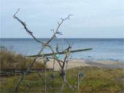 Schon fast bereit fr Ostern: Holzgebinde an der Seebrcke von Koserow.