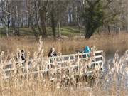 Naturpark Insel Usedom: Auf dem Steg im Klpinsee.