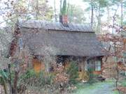 Wenige Meter bis zum Ostseestrand: Hbsch gelegenes Ferienhaus in Zempin.