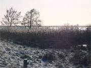 Usedom im Winterurlaub: Mwenort auf der Halbinsel Gnitz.