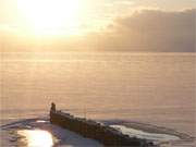 Unter einer Reifschicht liegt das vereiste Oderhaff bei Kamminke in der Wintersonne.