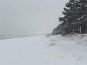 Zwischen den Ostseebdern Karlshagen und Trassenheide: Winter auf Usedom.